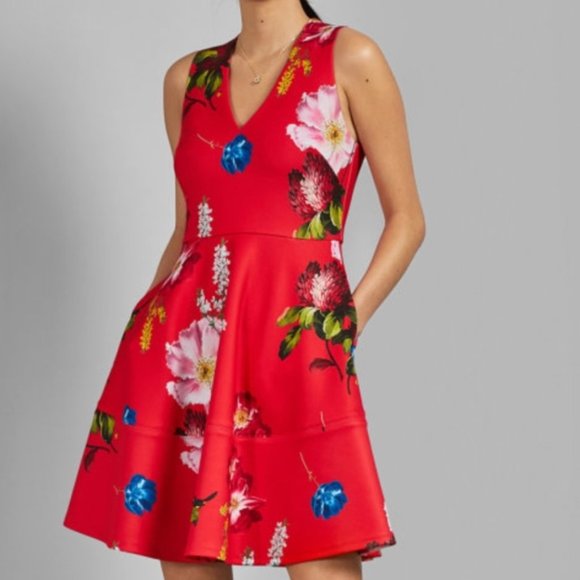 ted baker kinle dress